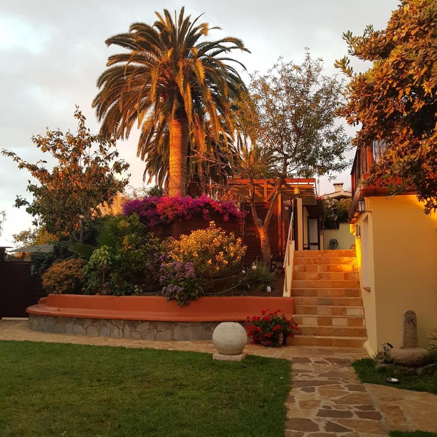 Cabana Ecologica La Orotava Exterior foto